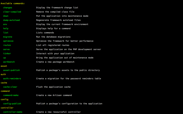 could not open input file artisan